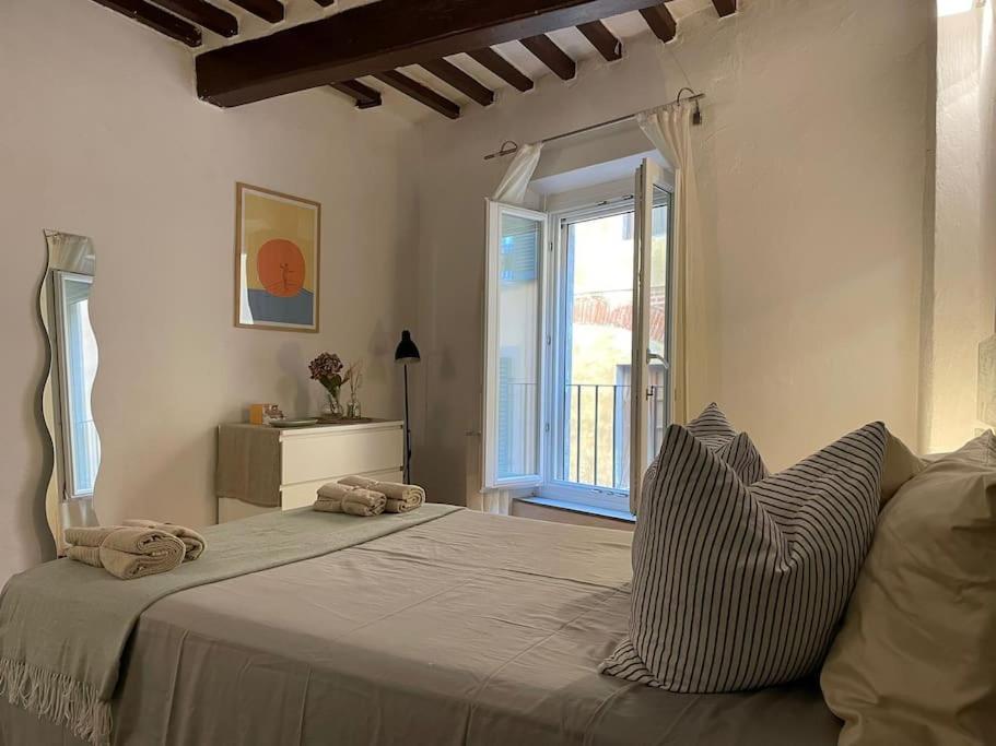 Casa Storica Nel Cuore Di Pisa - Lungarno מראה חיצוני תמונה